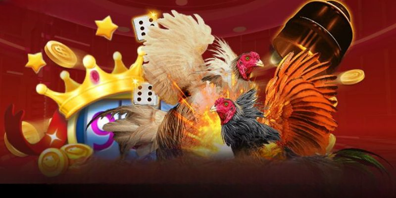 Đá Gà AZ888 – Sảnh Đá Gà Trực Tuyến Ưa Chuộng Nhất